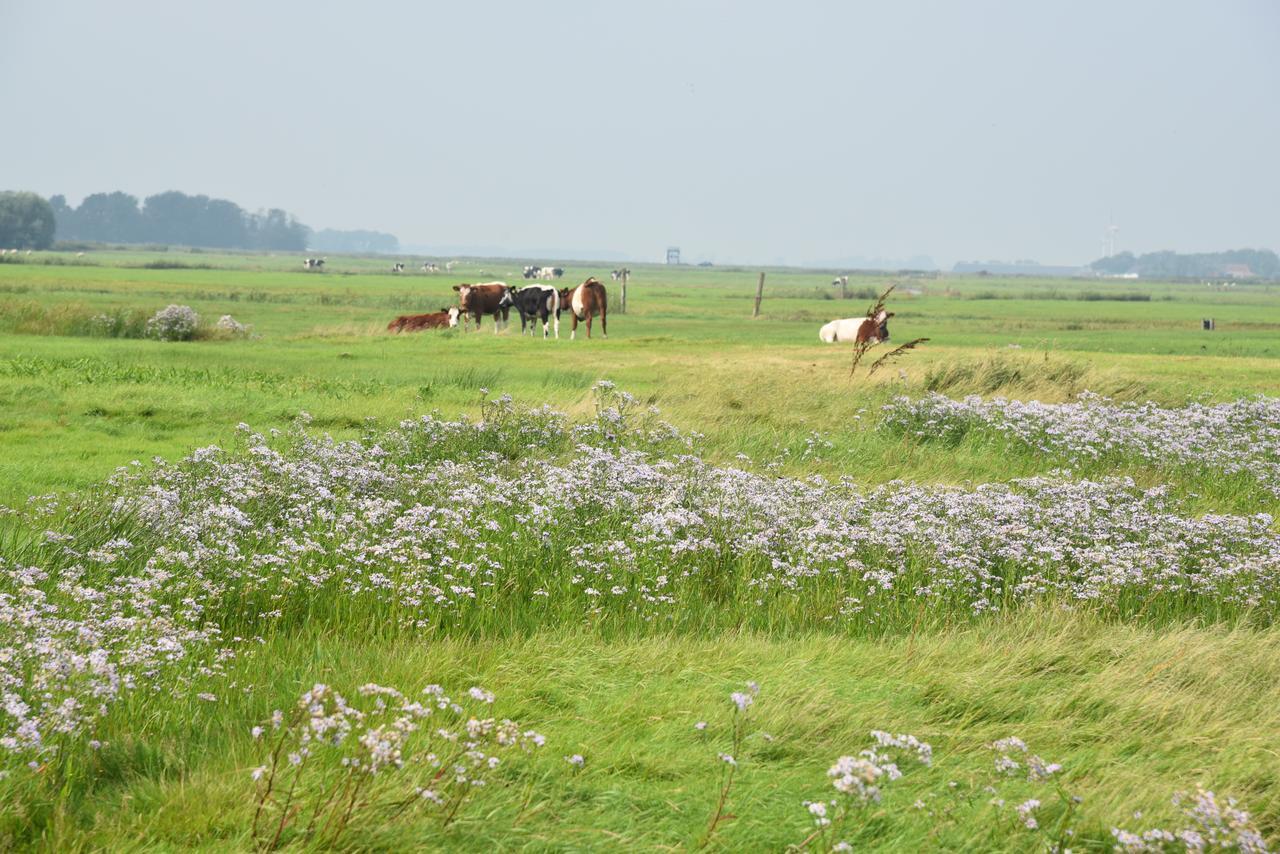 Countryside Eco Natuurhuisjes Ee Exterior foto