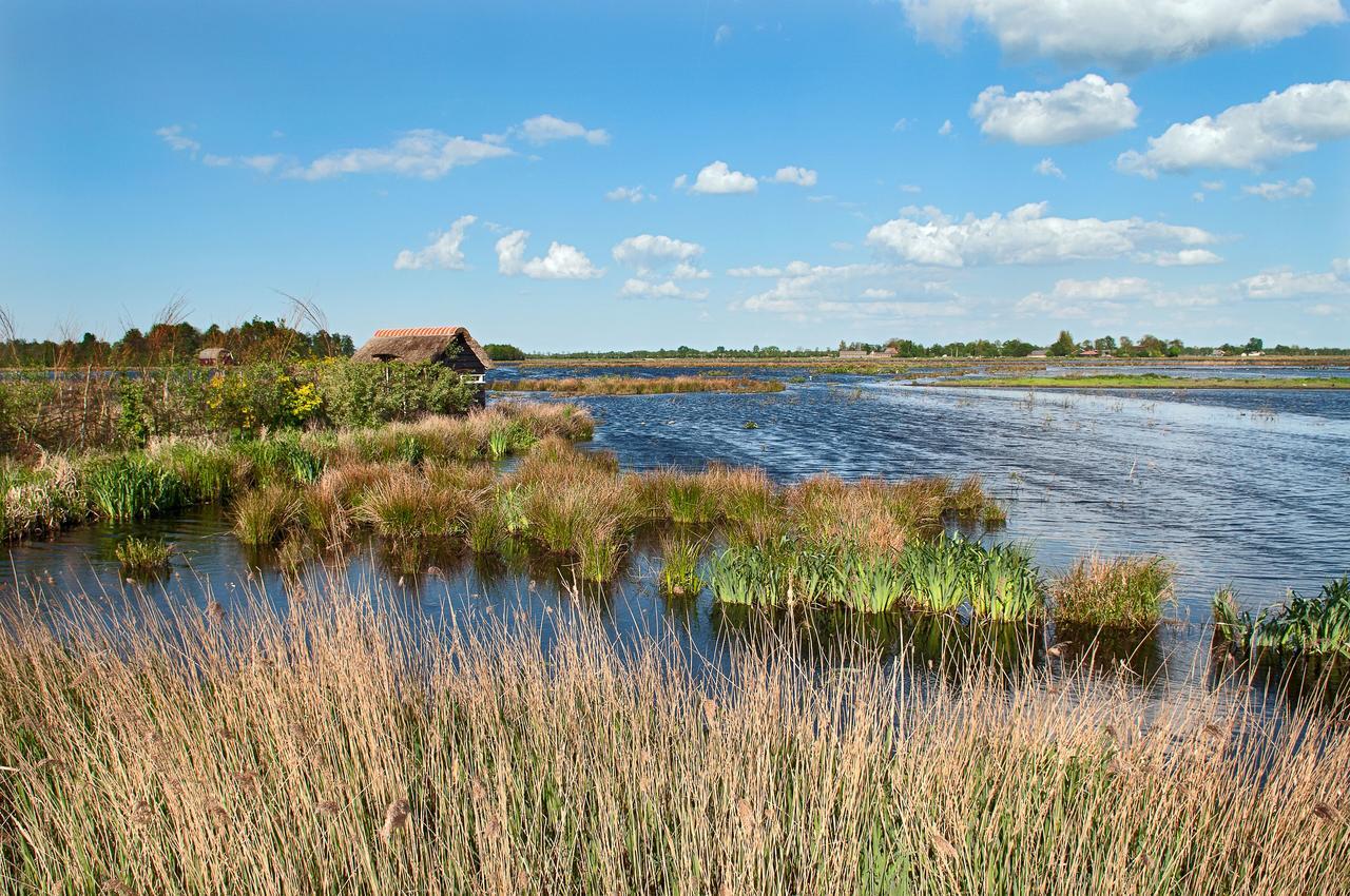 Countryside Eco Natuurhuisjes Ee Exterior foto